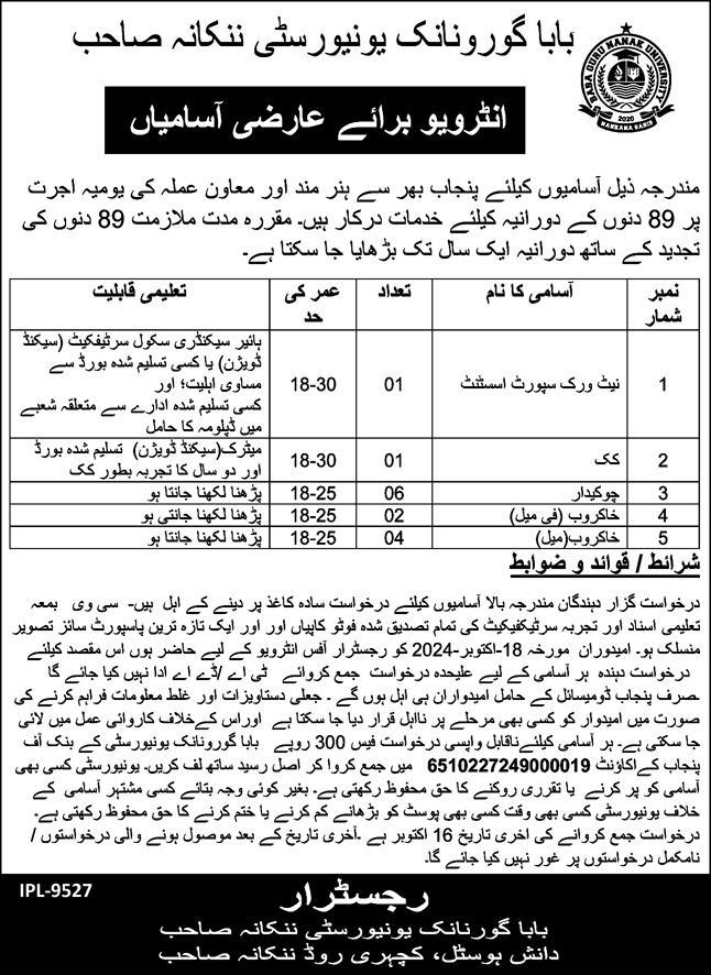 Baba Gurunanak University Nankana Sahib Jobs 2024 Scale 4 